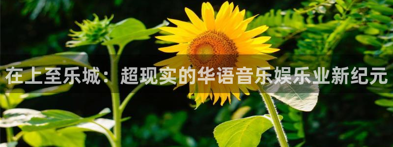 程极悦：在上至乐城：超现实的华语音乐娱乐业新纪元