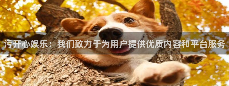 极悦生活：污开心娱乐：我们致力于为用户提供优质内容和平台服务