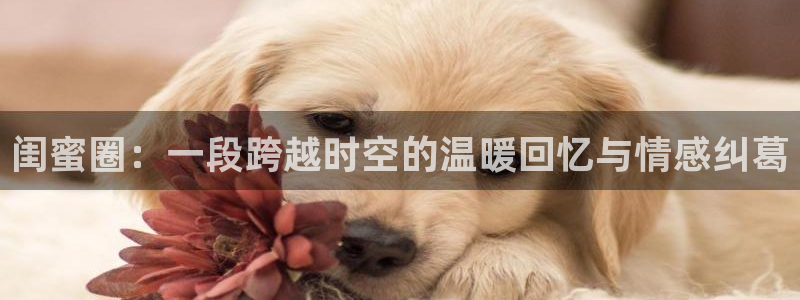 舒客极悦：闺蜜圈：一段跨越时空的温暖回忆与情感纠葛