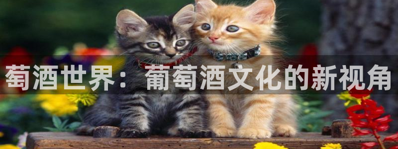 upload/20250701114914.jpg