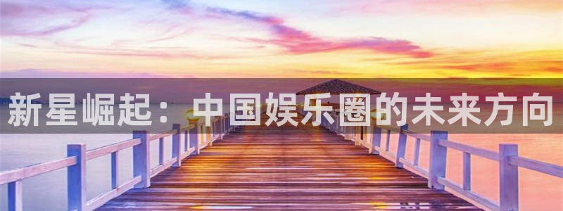 极悦生活：新星崛起：中国娱乐圈的未来方向