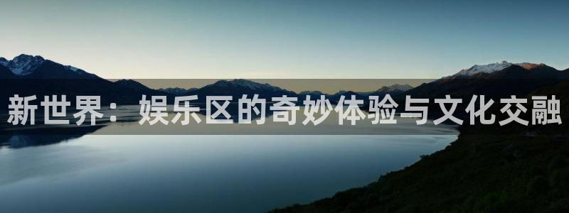 舒客极悦：新世界：娱乐区的奇妙体验与文化交融
