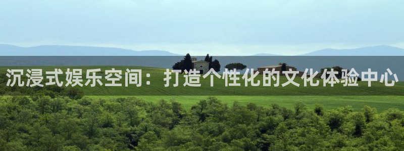 极悦平台：沉浸式娱乐空间：打造个性化的文化体验中心