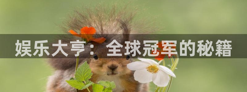 极悦娱乐官网：娱乐大亨：全球冠军的秘籍